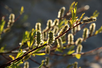 Leserfoto Ostseezeitung